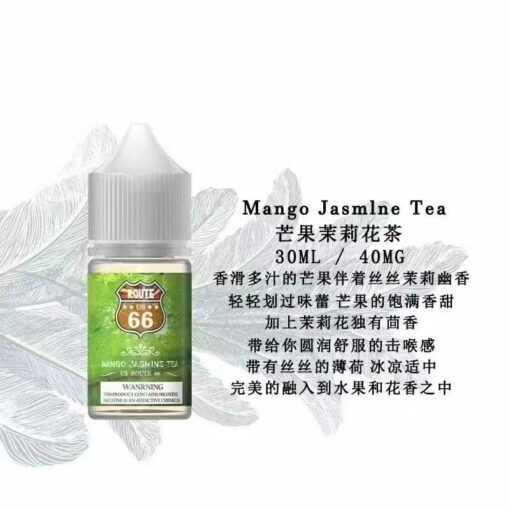 美國原裝進口 ROUTE 66公路煙油 美式煙油 30ML-40MG